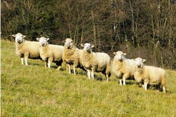 Slovacia Chata Veľké Rovné, Exteriorul